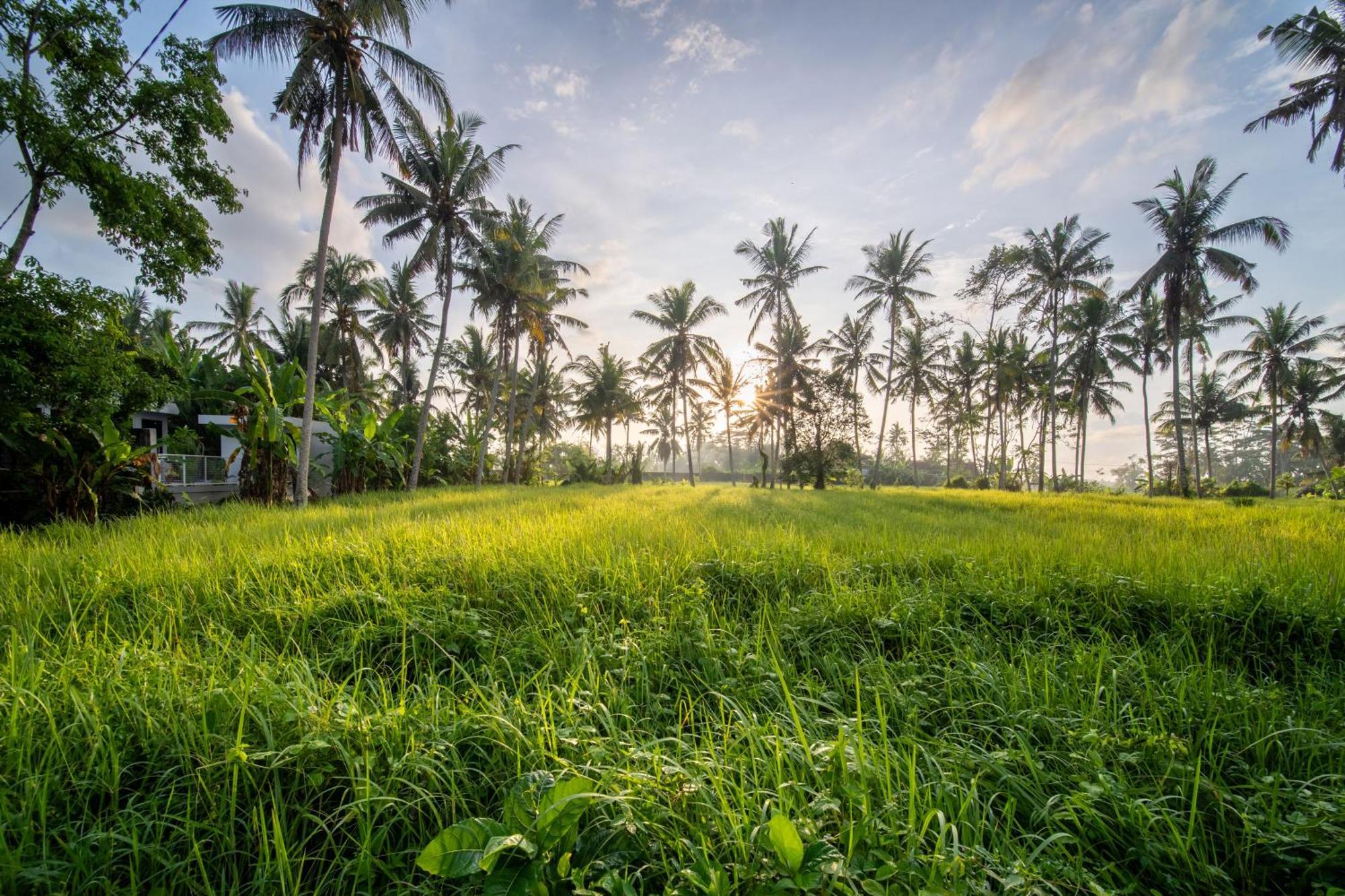 Casa Estrella - Luxe In Ubud Eksteriør bilde